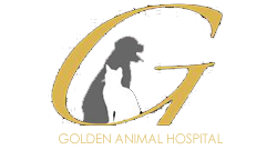 golden animal hospital